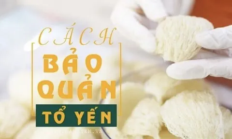 Mách nhỏ những cách bảo quản yến bạn nên biết