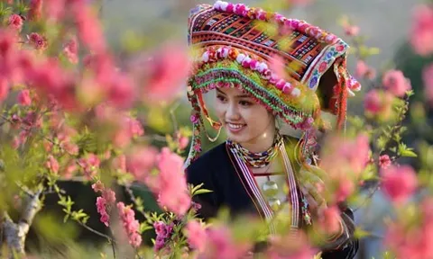 Câu chuyện khởi nghiệp ngành yến sào đầy "táo bạo" của cô gái miền núi thu tiền tỷ