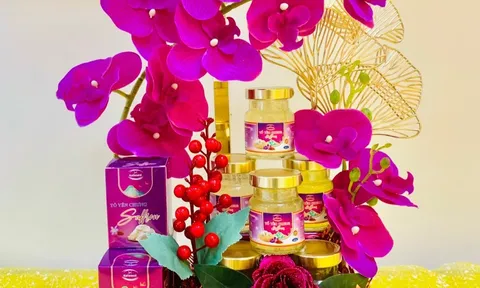 Món quà ý nghĩa nhân dịp 20/11 dành tặng thầy cô