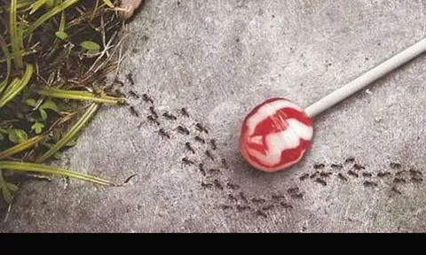 24 nguyên tắc sống phải nhớ!