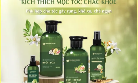 Nam Dược Cỏ Cây - Hành trình hồi sinh mái tóc Việt từ những tinh túy thảo dược thiên nhiên