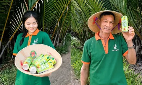 Mật dừa nước tươi - Thức uống mới mang "vị lành" từ dừa nước Việt
