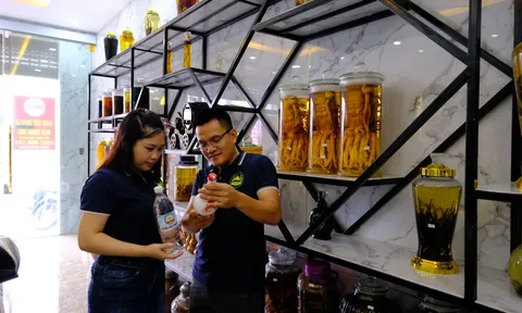 ​​​​​​​Rượu Lừng Hồng tỉnh Thái Bình giữ trọn hương vị Việt