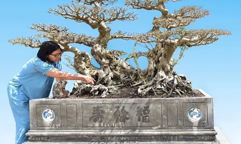 Xuất lộ tác phẩm Sanh cổ Song Long Toạ Thạch