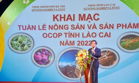 Lào Cai tham dự tuần lễ Nông sản an toàn và Sản phẩm OCOP năm 2022