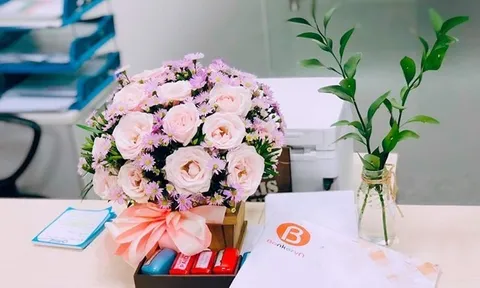 Dịch vụ chứng minh tài chính du học 100% đủ tiêu chuẩn