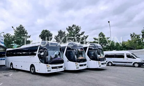 Thuê xe đi Vũng Tàu - Trải nghiệm chuyến du lịch đầy hứng khởi