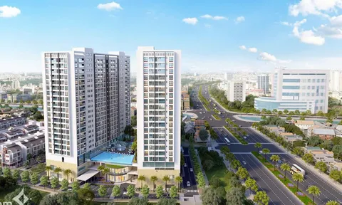 Kinh nghiệm: Nên đầu tư mua nhà đất hay chung cư khi có tiền?