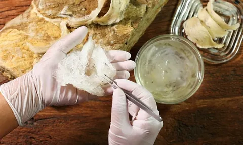 Top 4 đại kỵ phá hỏng món yến sào nhà bạn