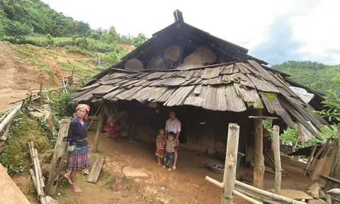 Phòng chống đói nghèo: Tạo cơ hội việc làm cho người nghèo